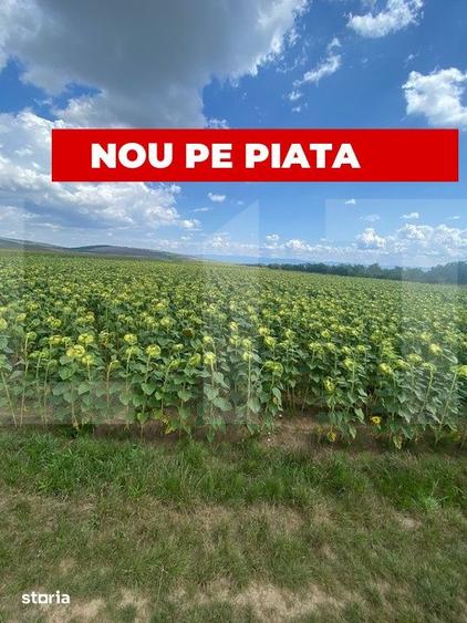 Teren de 45800 mp, în Moacșa