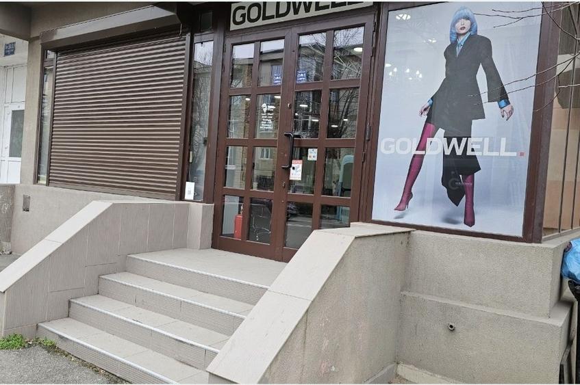 Spațiu comercial, în Brazda lui Novac