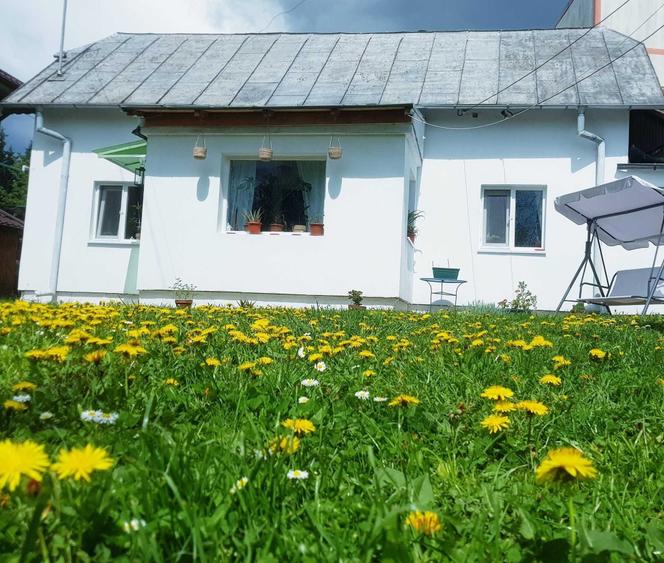 Casa in Breaza de Sus, ultracentral, 3 camere, teren 376 mp-76.000 (negociabil) - 5