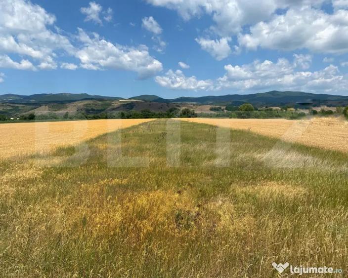 Teren în Vințu de Jos