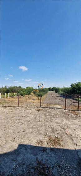 Casă cu Teren 2656 Mp în Cenei