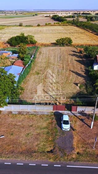 Teren Construcții intravilan de 13200 mp, în Foeni