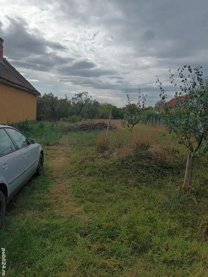 Teren de 1500 mp, în Petrovaselo