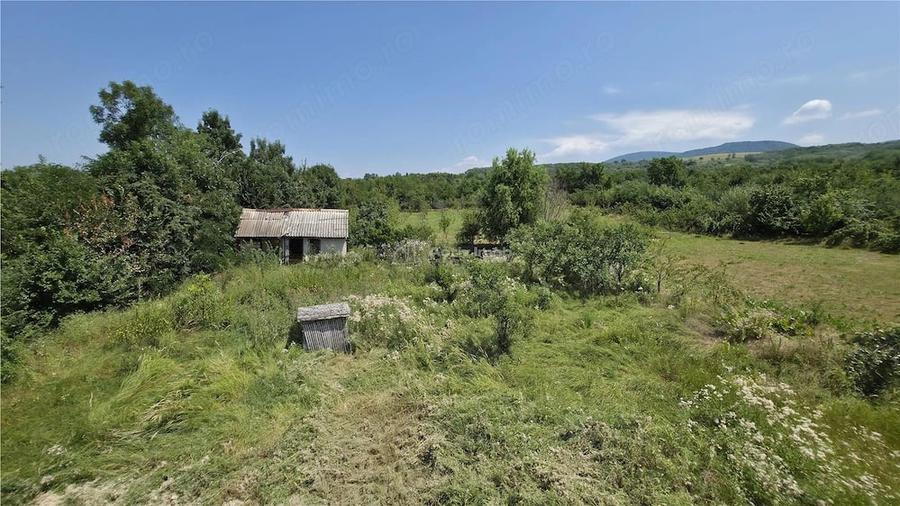 Casă cu Teren 5314 Mp în Răchitova