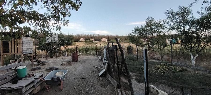 Casă cu 5 camere cu Teren 3000 Mp în Alparea