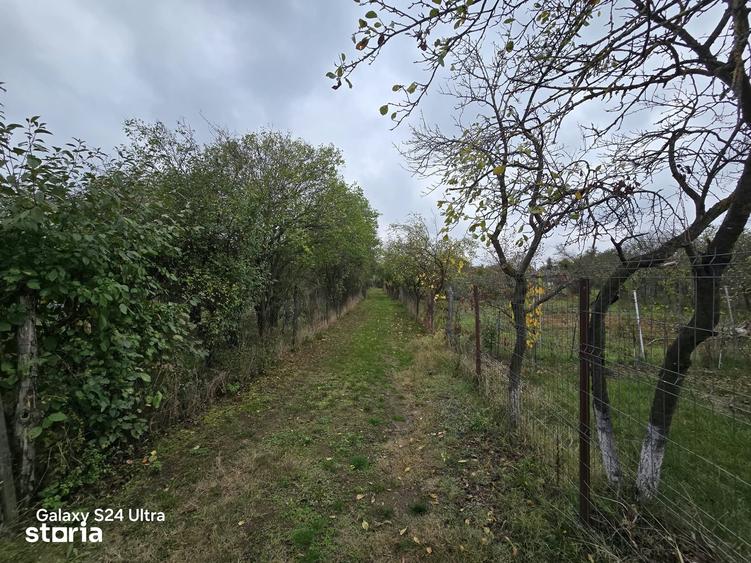 Casă cu 5 camere cu Teren 3000 Mp în Trivalea-Moșteni