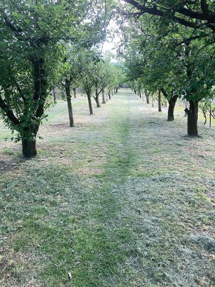 Teren de 2000 mp, în Dezmir