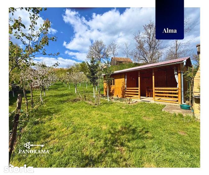 Teren Intravilan cu cabana in satul transilvanean Alma - 8