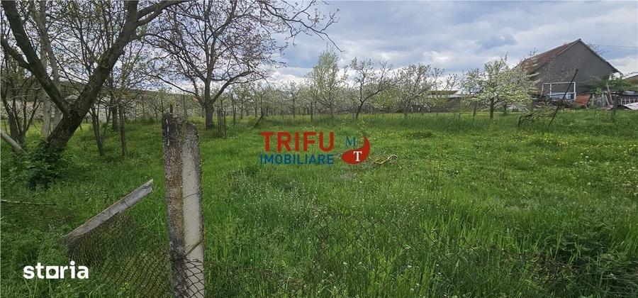 Casă cu 2 camere cu Teren 3101 Mp în Galda de Jos