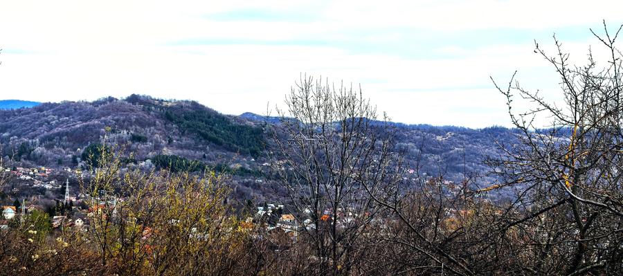 Teren agricol intravilan de 2623 mp, în Est