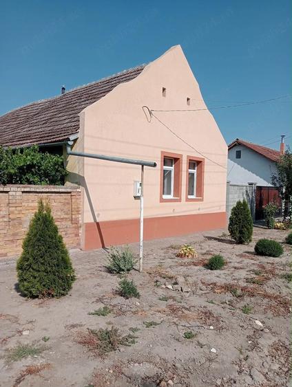 casa checea-30 km de Timisoara - 5
