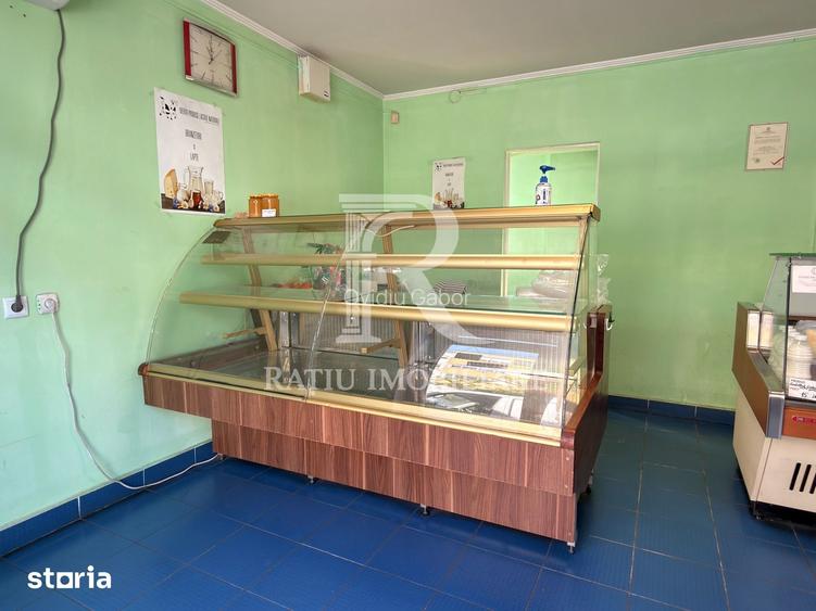 Casa cu spa?iu comercial la strada, curte ?i gradina | Oradea