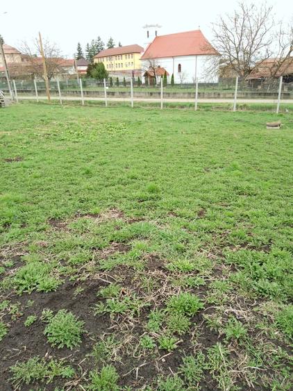 Teren de 3000 mp, în Călărași