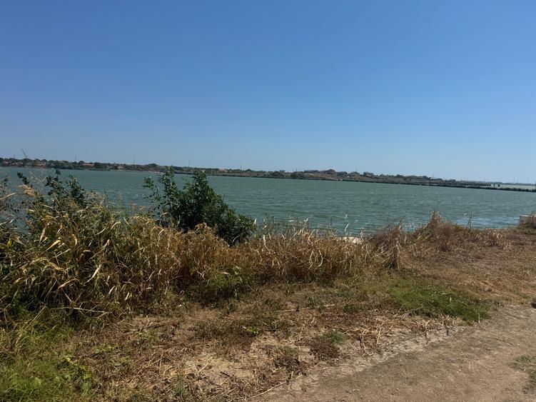 Teren agricol extravilan de 5000 mp, în Corbu