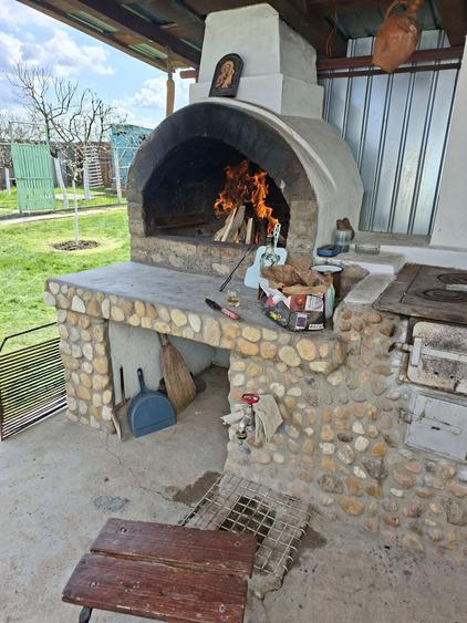 Casă cu 4 camere în Bârlogu