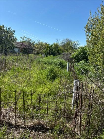 Teren de 2000 mp, în Văcăreasca