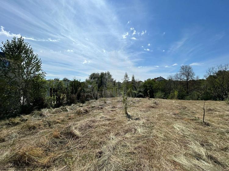 Teren intravilan de 8930 mp, în Păulești