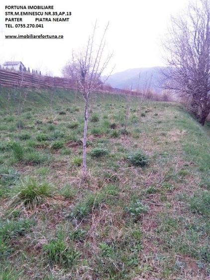 Teren de 2000 mp, în Alexandru cel Bun