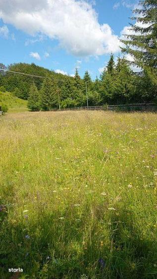 Teren de 2700 mp, în Valea Doftanei