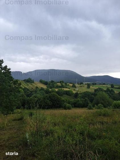 Teren de 1000 mp, în Alexandru cel Bun