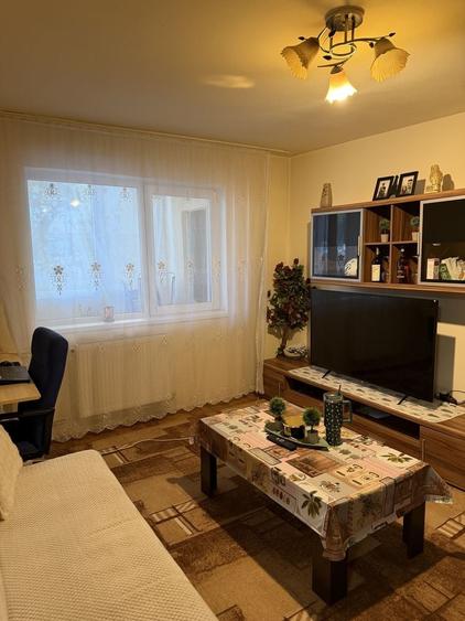 Apartament cu 2 camere semidecomandat în Podgoria