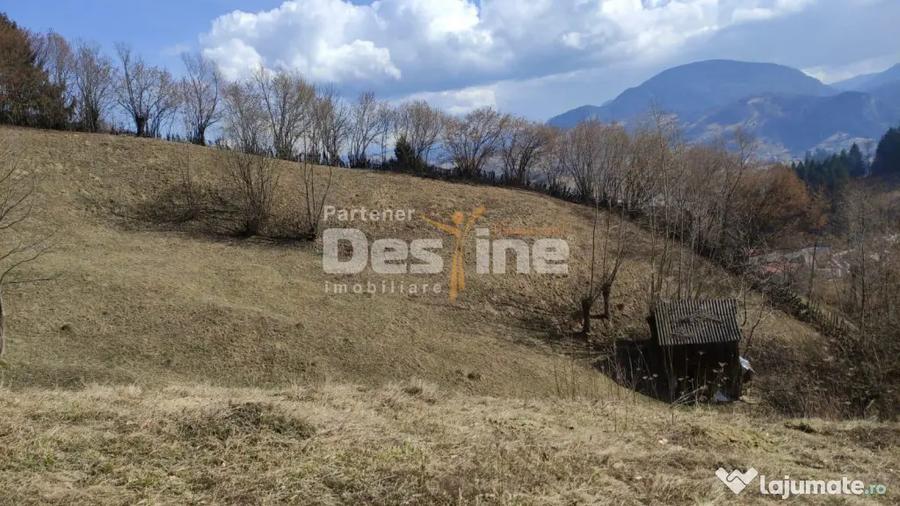 Teren de 5000 mp, în Rucăr