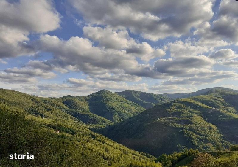 Casă cu 4 camere cu Teren 8000 Mp în Vale