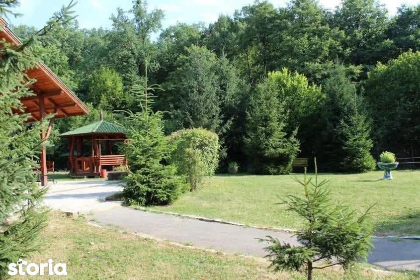 Spațiu comercial, de 700 mp, în Tăuții-Măgherăuș