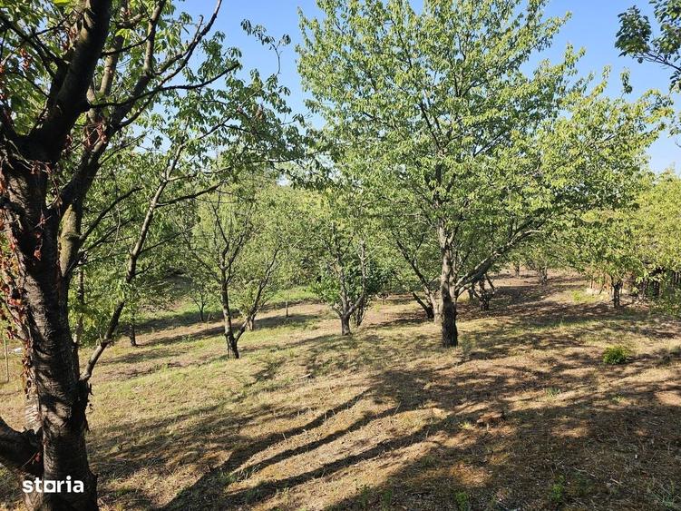 Casă cu 4 camere cu Teren 3000 Mp în Nicolina