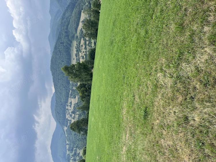 Teren de 7331 mp, în Vama Buzăului