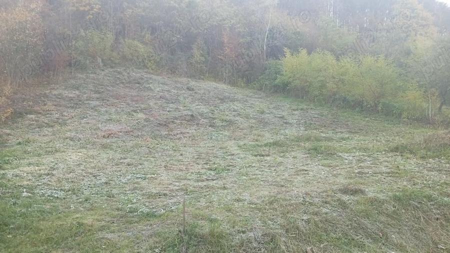 Teren de 1483 mp, în Central