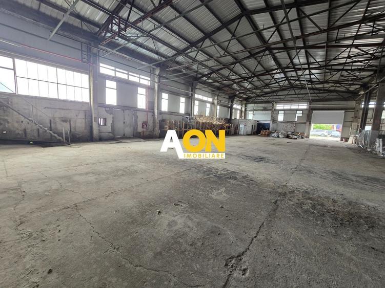 Spațiu industrial, de 900 mp, în Bărăbanț