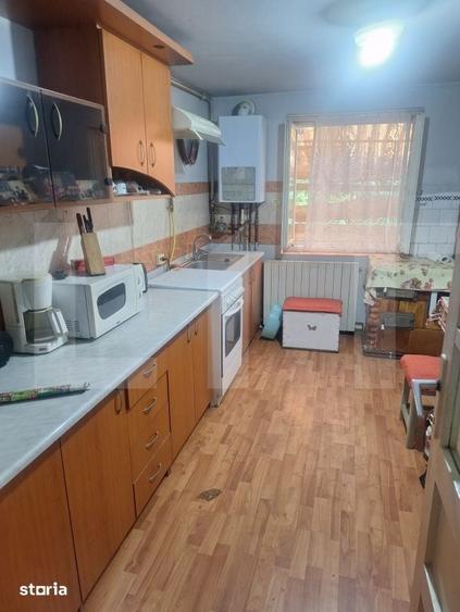 Casa de vanzare in Lugoj - 10