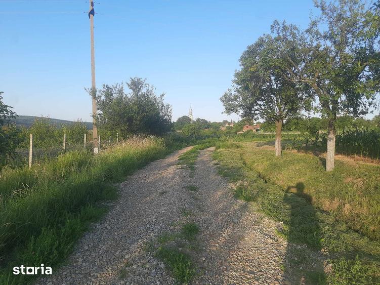 Teren de 894 mp, în Paleu
