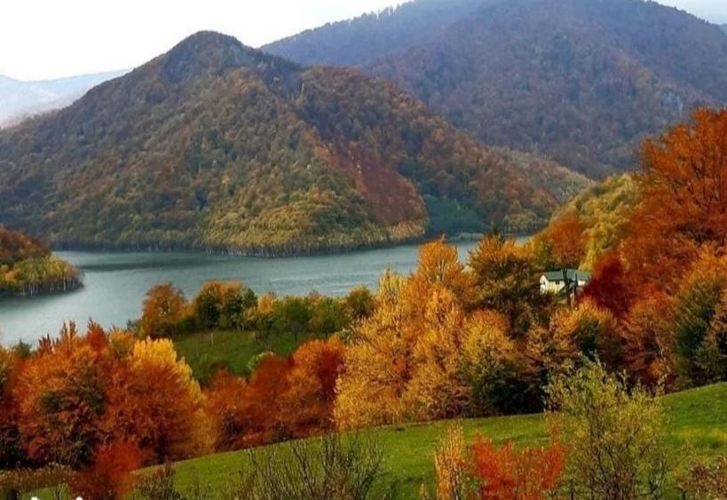 Teren de 700 mp, în Gura Siriului