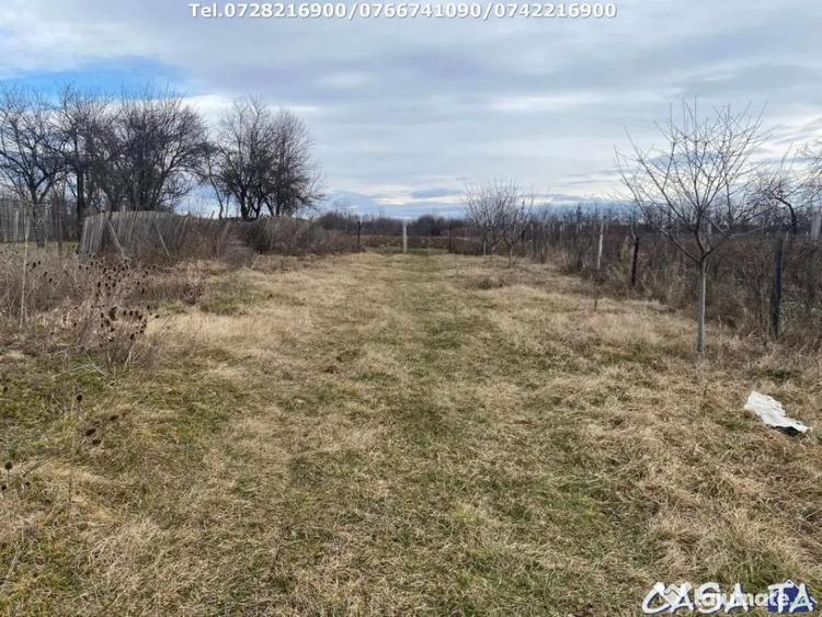 Casă cu 3 camere cu Teren 3300 Mp în Central