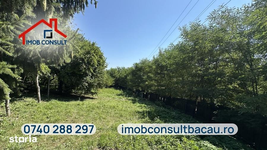 Casa de vanzare cu teren de 1.000 mp|Grigoreni, comuna Scorteni|CE1803 - 3