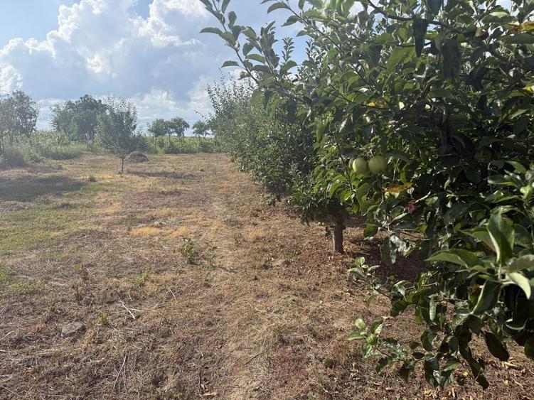 Casă cu 4 camere în Străoane