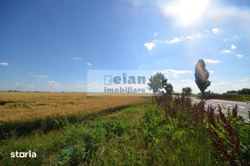 Teren de 28500 mp, în Movilița