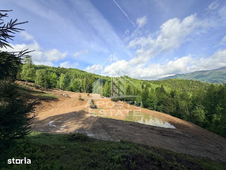 Teren de 18000 mp, în Central