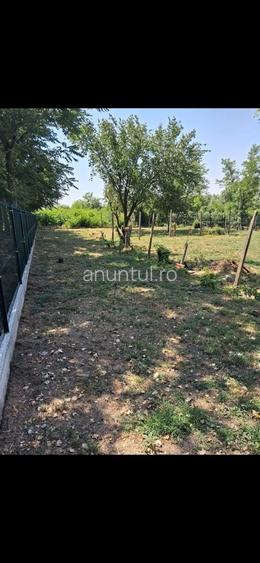 Orbeasca de sus, jud TR, str Valea targului nr 28