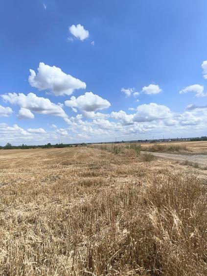 Teren Construcții intravilan de 7100 mp, în Păulești