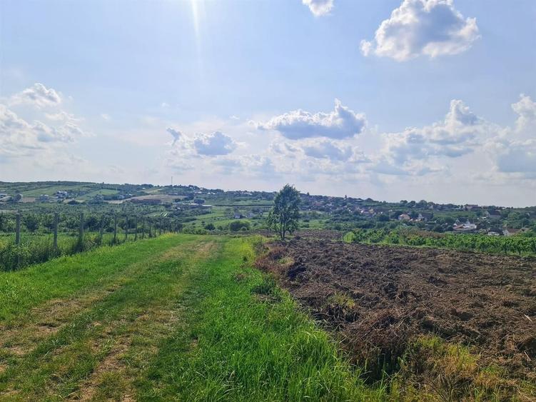 Teren intravilan Zona Gheorghe Doja 1100mp - 8