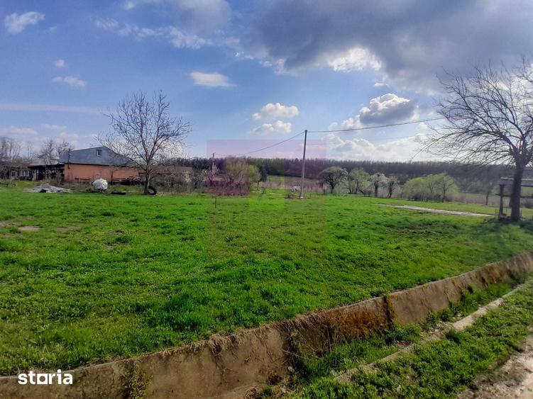 Teren de 3400 mp, în Buturugeni