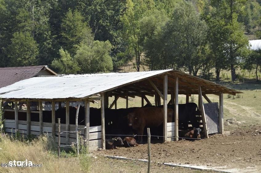 Spațiu comercial, de 1,887 mp, în Glâmbocel