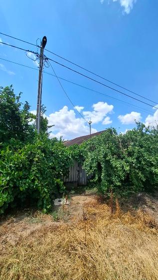 Casă individuală cu 2 camere cu Teren 1050 Mp în Floroaica