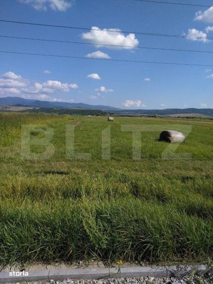 Teren extravilan, Livezile, 1.83 hectare - 5