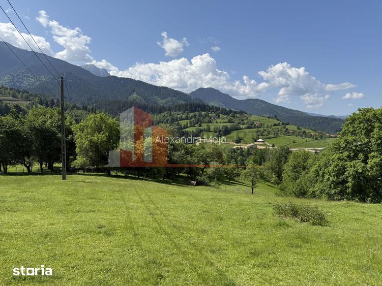 Teren cu priveli?te spectaculoasa in Bran Sohodol