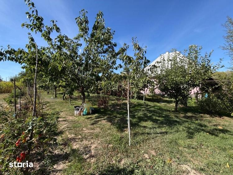 Casă cu 2 camere cu Teren 7370 Mp în Vicovu de Sus