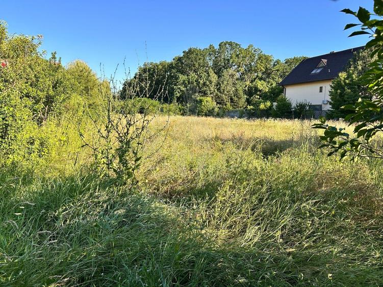 Teren Construcții intravilan de 5085 mp, în Păulești